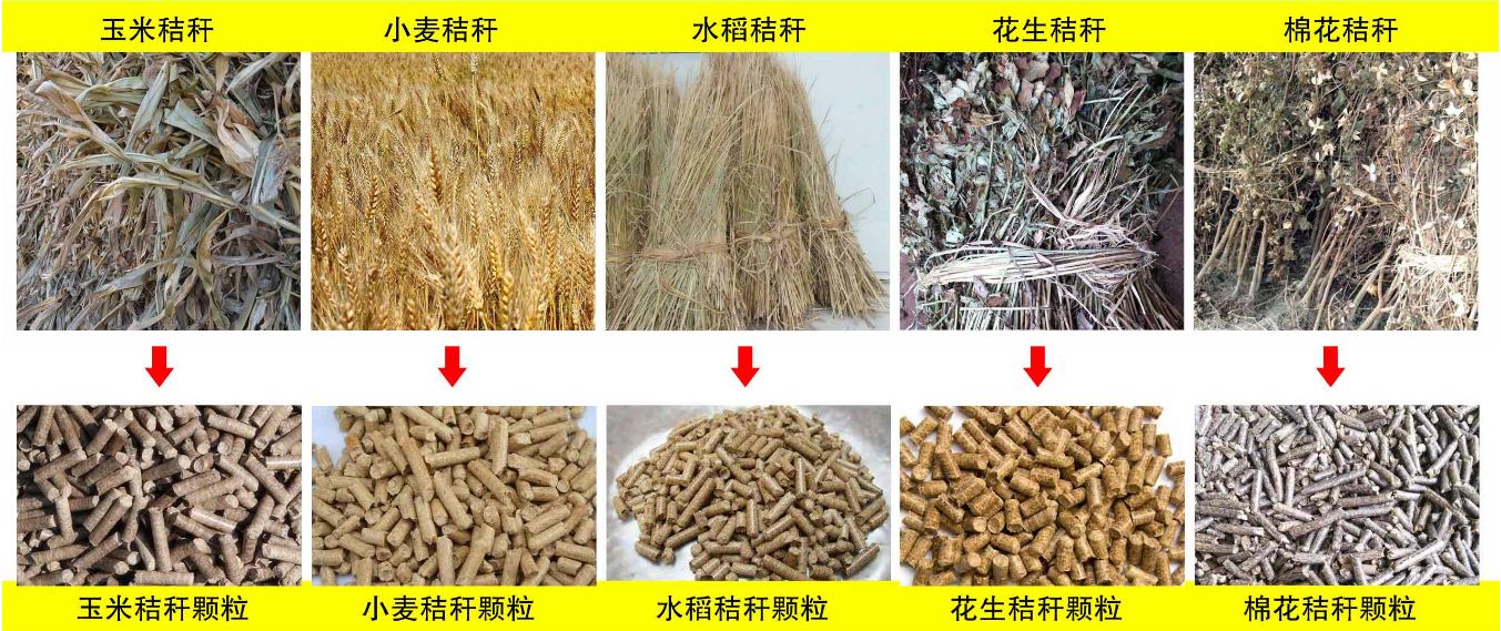 玉米秸稈、小麥秸稈等原材料